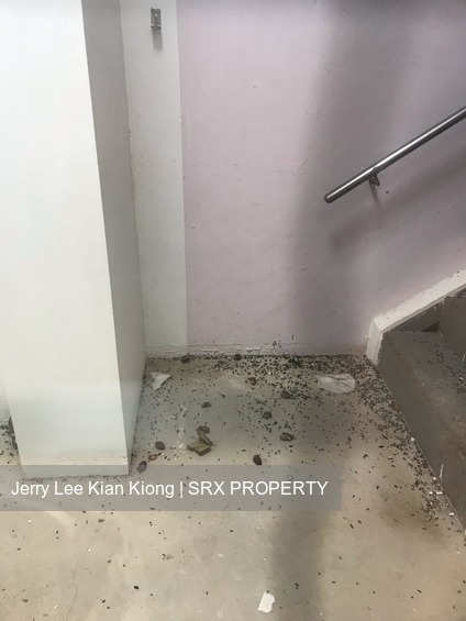 Ang Mo Kio Avenue 8 (D20), HDB Shop House #205000581